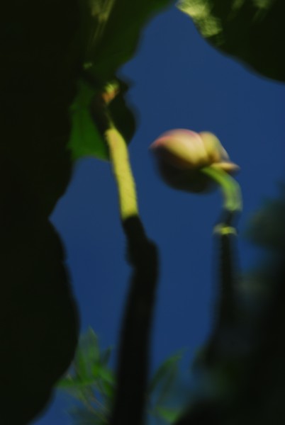 http://i.dcview.tw/gallery/201007/68e2ed8c057af9d652ca98bc050268fc.jpg