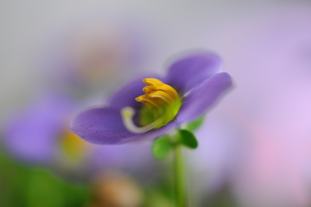 http://i.dcview.tw/gallery/201007/69dfdee7cea1cab4766d0c19f81adf95.jpg
