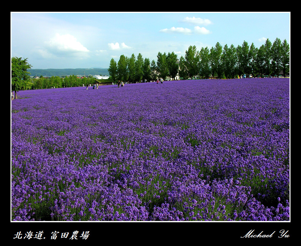 http://i.dcview.tw/gallery/201007/6b5127a6cad099e1c7ebaab6bba95de3.jpg