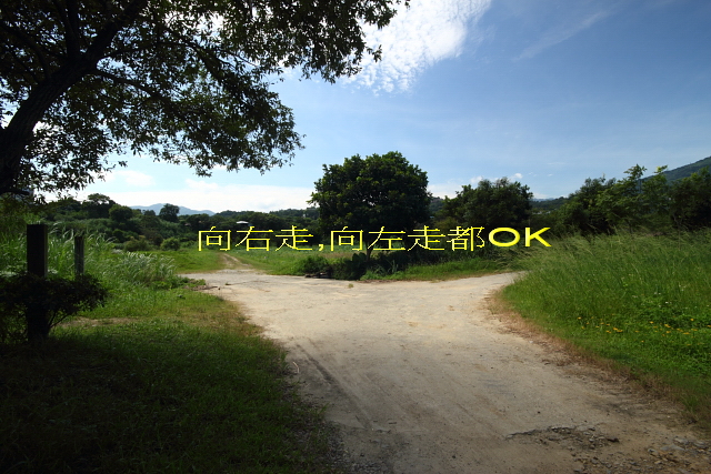 http://i.dcview.tw/gallery/201007/6b8c9ff4a717d5b14caec9a1dee1a131.jpg
