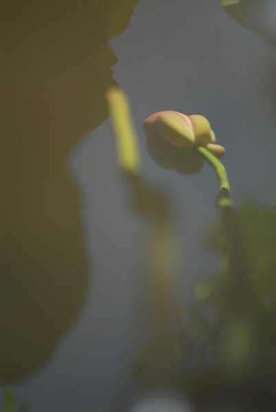 http://i.dcview.tw/gallery/201007/700a80977365d85c84d0456771100456.jpg