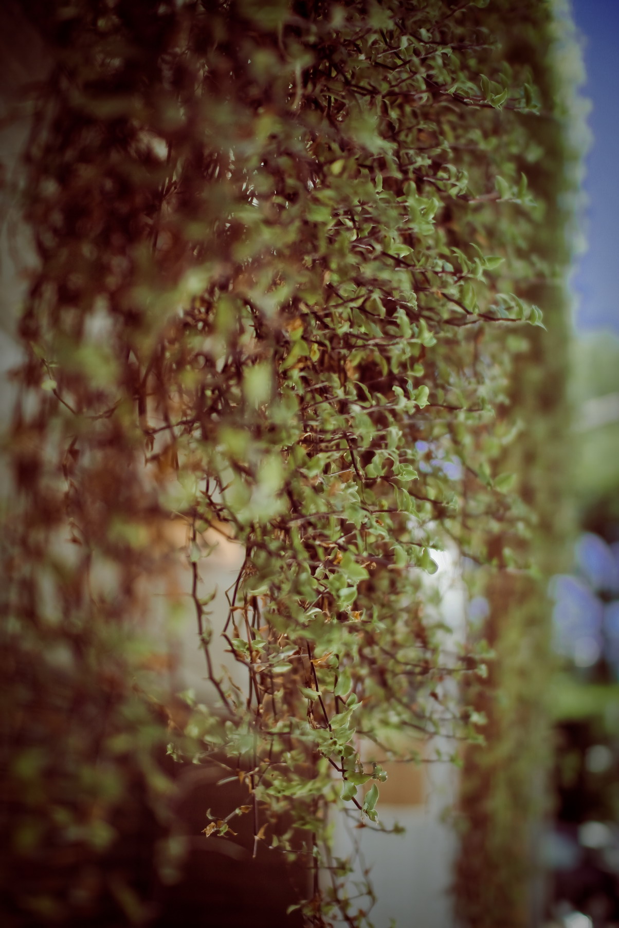 http://i.dcview.tw/gallery/201007/7d493af2ac741b5df16176a0500b6f07.jpg