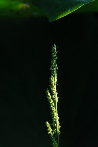 http://i.dcview.tw/gallery/201007/894ea62220d89967f90996bd368ed130.jpg