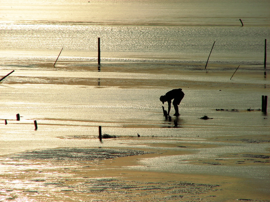 http://i.dcview.tw/gallery/201007/8d7b82491cd588844016253c816f3e53.jpg
