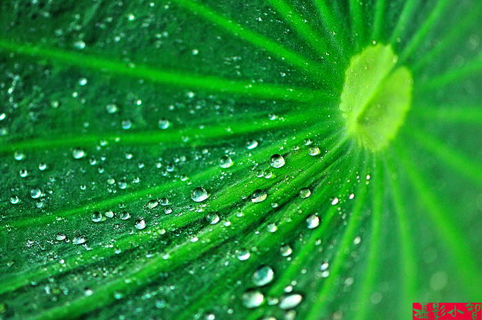 http://i.dcview.tw/gallery/201007/8ded32f8fdbde03d4a87d35a86efce58.jpg