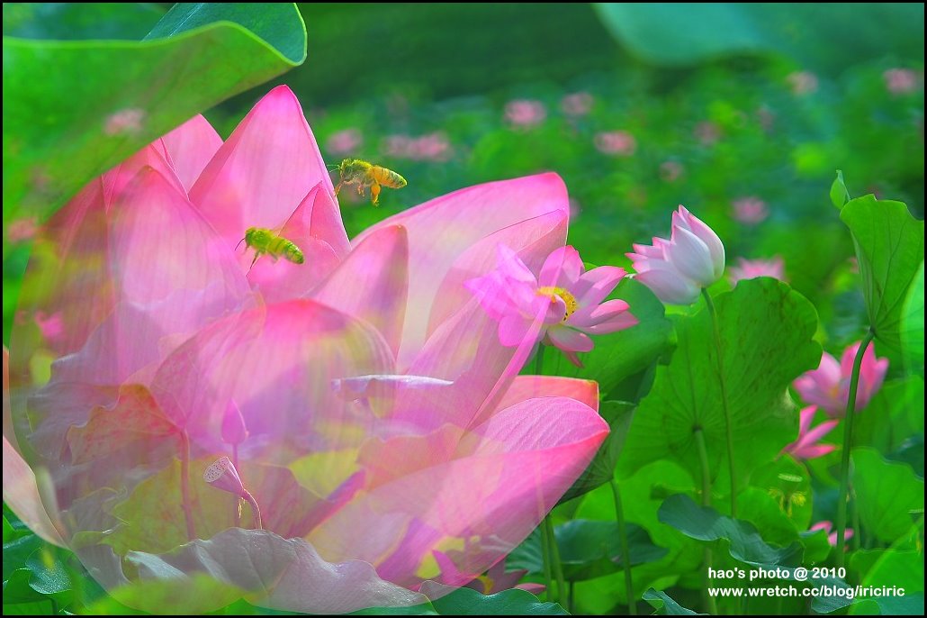 http://i.dcview.tw/gallery/201007/9b545cd69e9e69322496a4745b32df82.jpg