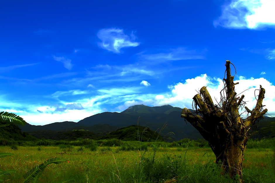 http://i.dcview.tw/gallery/201007/9f61c7c51039194d78592de6d912ccef.jpg