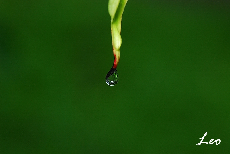 http://i.dcview.tw/gallery/201007/a31c37136fc238c97b96d52f1e370077.jpg