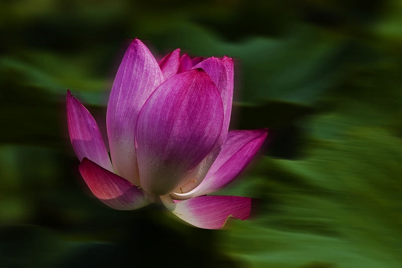 http://i.dcview.tw/gallery/201007/a9c9d3430093e866cbfa6a33e41981b3.jpg