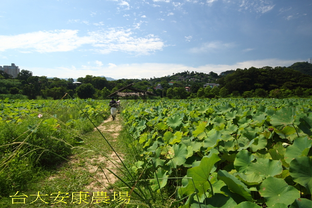 http://i.dcview.tw/gallery/201007/ab4737580d24321ed635e8c7757a9374.jpg