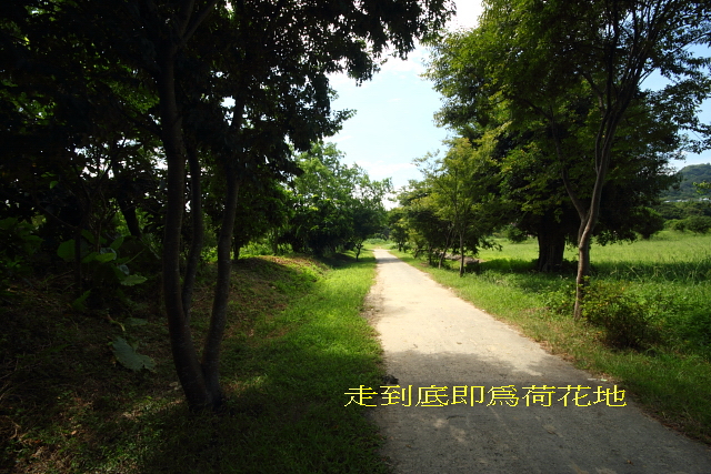 http://i.dcview.tw/gallery/201007/ab8b588bd957e19d7550a6bcaf036ffe.jpg