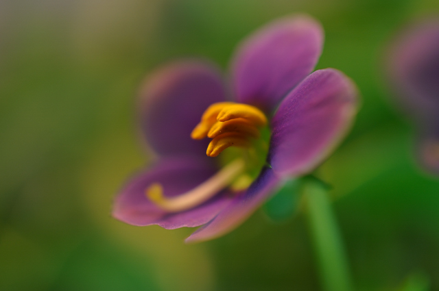 http://i.dcview.tw/gallery/201007/ad220c6c1db18b06f77815f0b50eaec8.jpg