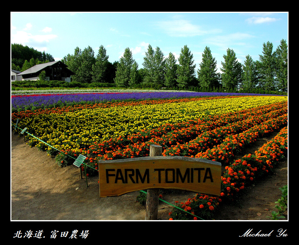 http://i.dcview.tw/gallery/201007/af4f238436bba36c2730602f3025df6f.jpg