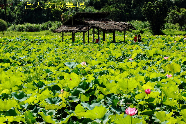 http://i.dcview.tw/gallery/201007/b9f2b0d576023c082e96dfcb29974586.jpg