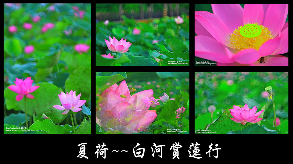 http://i.dcview.tw/gallery/201007/bed611ad1f528aab233d99bae0dc42c4.jpg