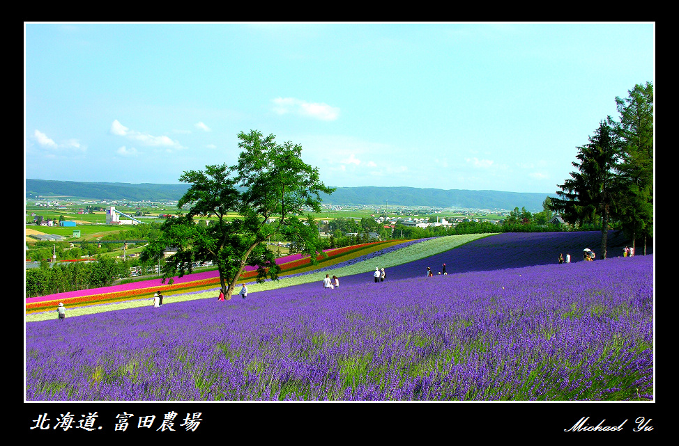http://i.dcview.tw/gallery/201007/c25f63bc042b196354d5d8bde6465207.jpg