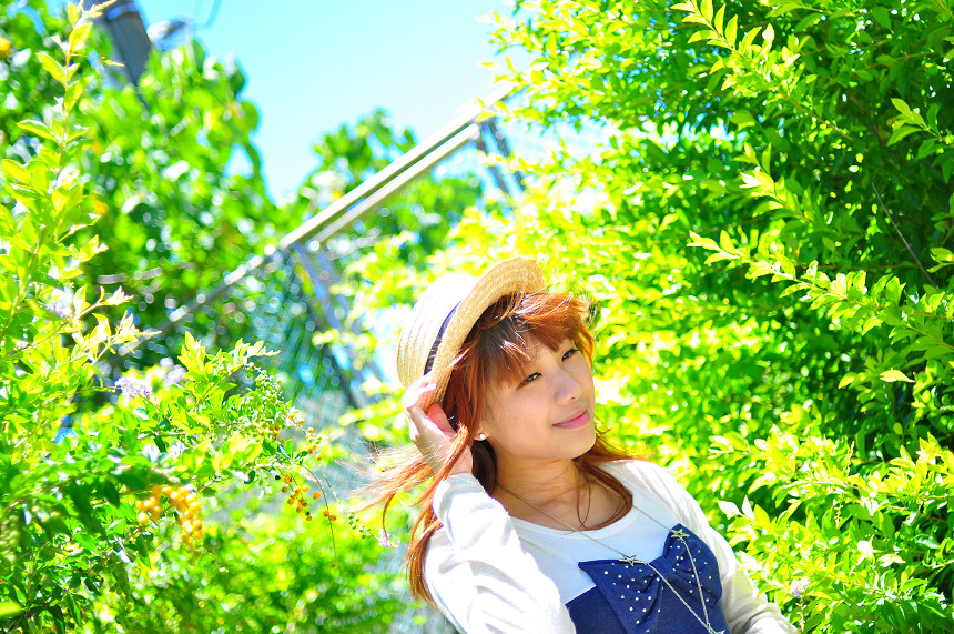 http://i.dcview.tw/gallery/201007/c27b50be5491a2ec8a670e8b4d92cb62.jpg