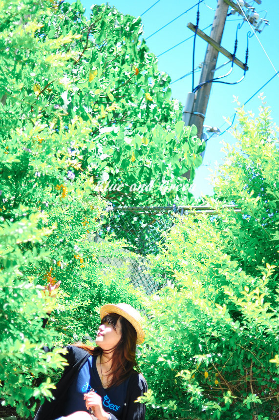 http://i.dcview.tw/gallery/201007/c39c3087ac71701ce6c377877eec3911.jpg