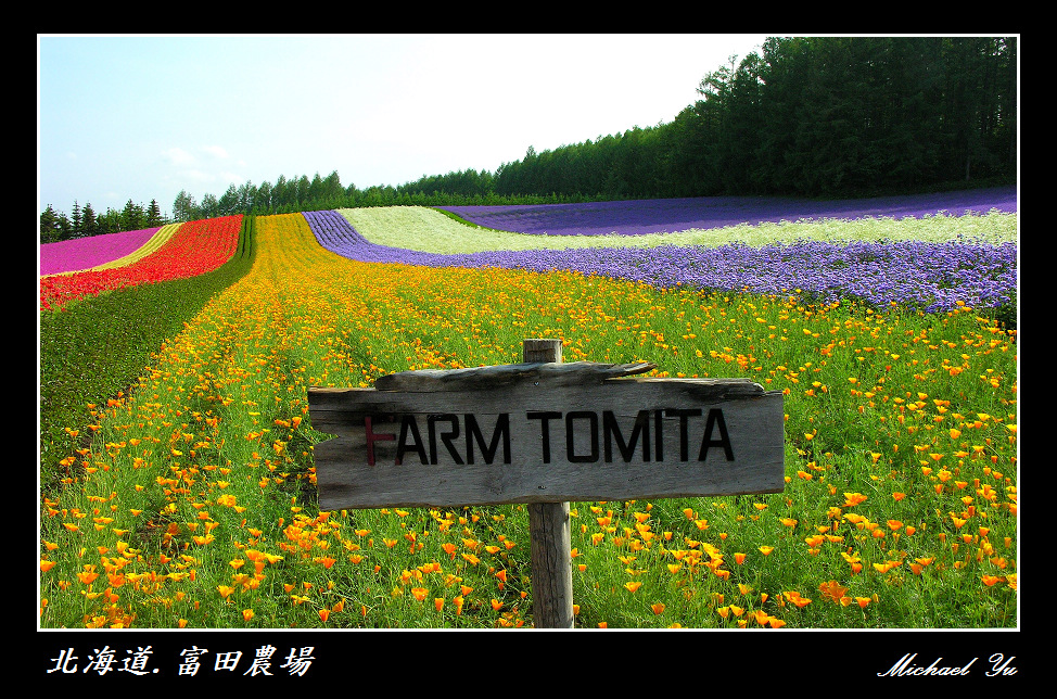 http://i.dcview.tw/gallery/201007/c5b614d40af9d50abfc084ab2ffc1ffd.jpg