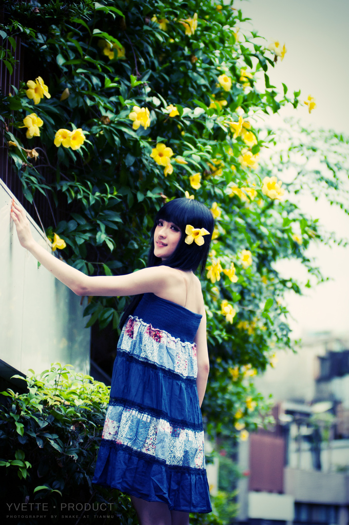 http://i.dcview.tw/gallery/201007/d377180d4257271c030d004369859dda.jpg