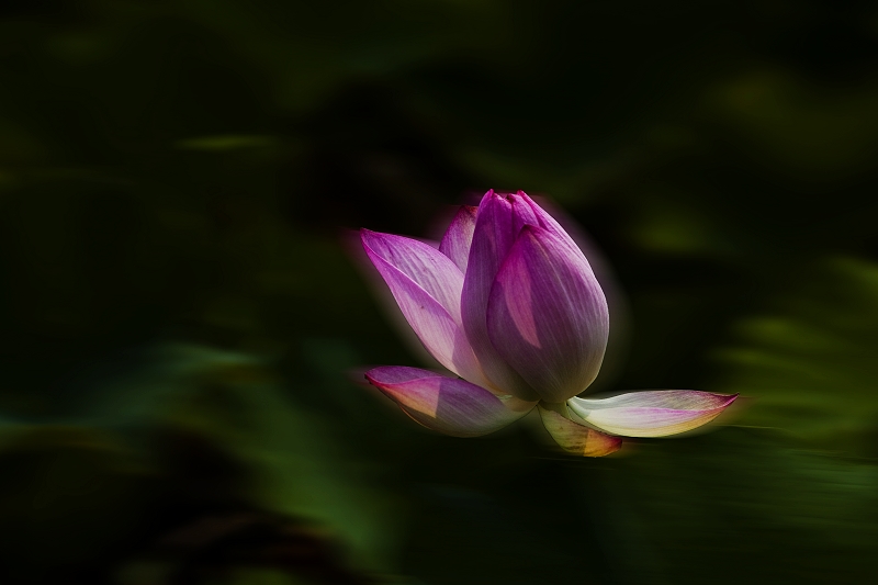 http://i.dcview.tw/gallery/201007/d8c743a7e95c60ae2c84d2d8057c92ec.jpg