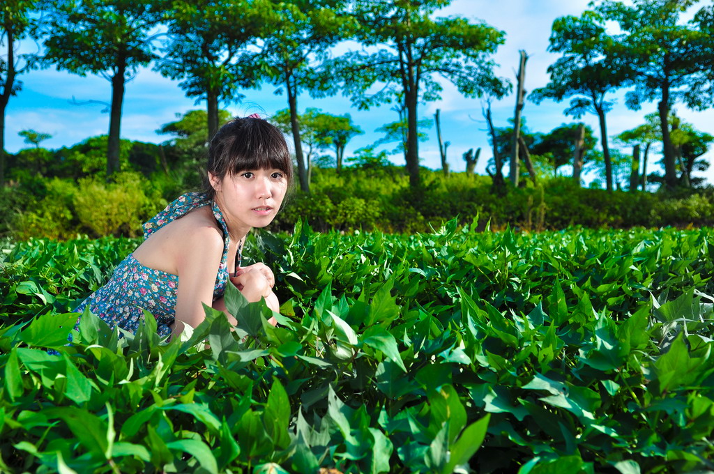 http://i.dcview.tw/gallery/201007/dac2a8807237b14e3f721c43e1b6ea80.jpg