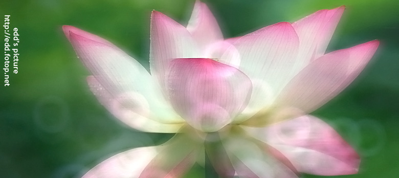 http://i.dcview.tw/gallery/201007/e84deefb4a162bad03b439814c9cdc8c.jpg
