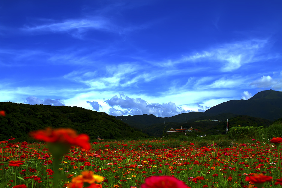 http://i.dcview.tw/gallery/201007/e90c3d8906da860199c178060586b8d8.jpg