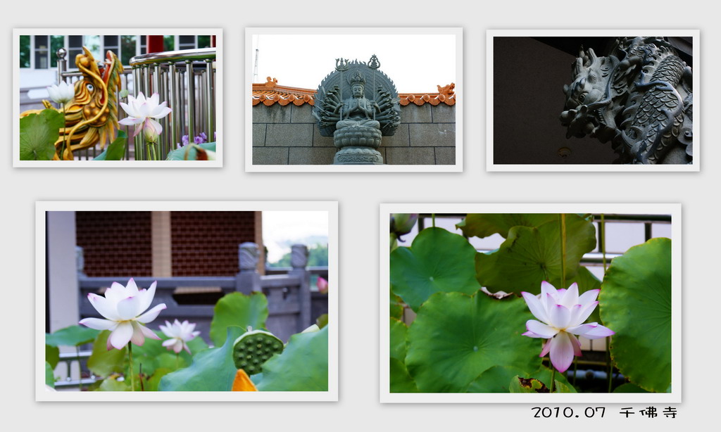 http://i.dcview.tw/gallery/201007/f4e9d1243e9fe539fe76ba786ea76a04.jpg