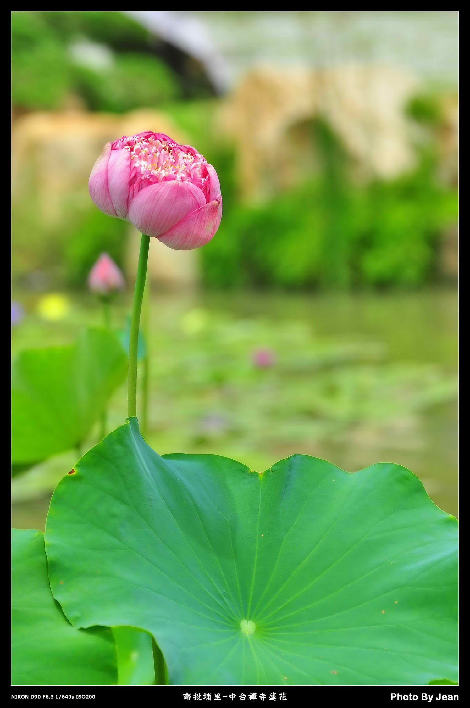 http://i.dcview.tw/gallery/201007/f72784d930d249c974c9b92b5ce3b533.jpg