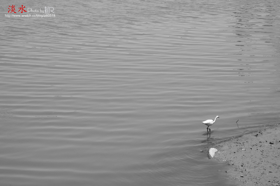 http://i.dcview.tw/gallery/201007/f81ac0521edf9281b87bbf643246764b.jpg