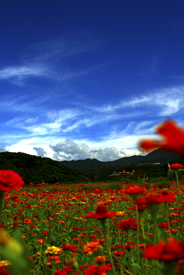 http://i.dcview.tw/gallery/201007/fcc51b466630b323f49cda63a87a9585.jpg
