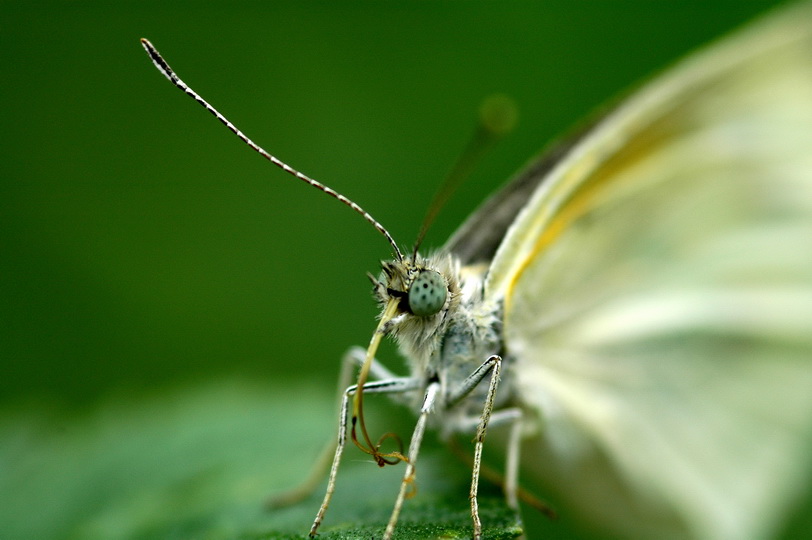 http://i.dcview.tw/gallery/201007/fdc6acebd35d1311d75221c6ffba1ad9.jpg