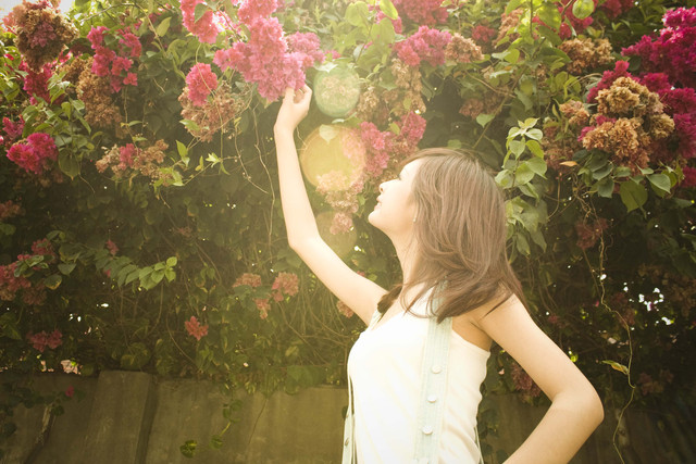 http://i.dcview.tw/gallery/201008/07d552564bf9e7bc4200a708838f6e62.jpg