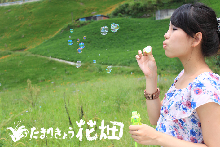 http://i.dcview.tw/gallery/201008/21ed78aa65d8b87ff0991414f2713f34.jpg