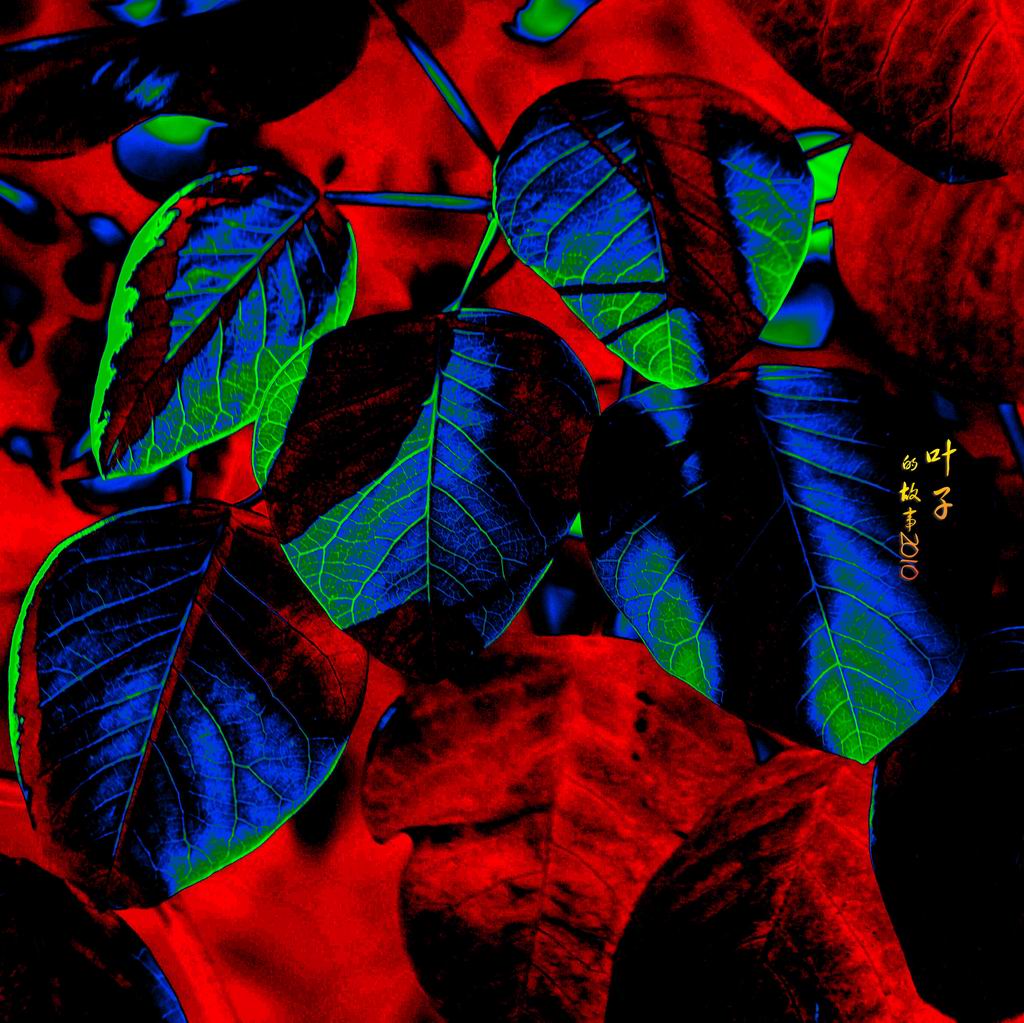 http://i.dcview.tw/gallery/201008/25aff354a47dfa6b939a5397c4f72b07.jpg