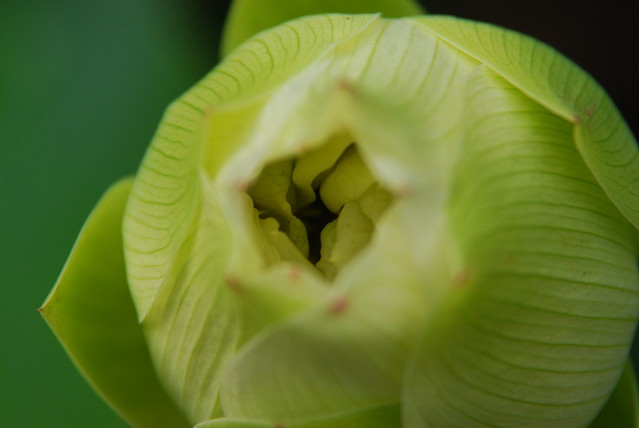 http://i.dcview.tw/gallery/201008/30f2a0e71c1cd83a32b5d53577834438.jpg