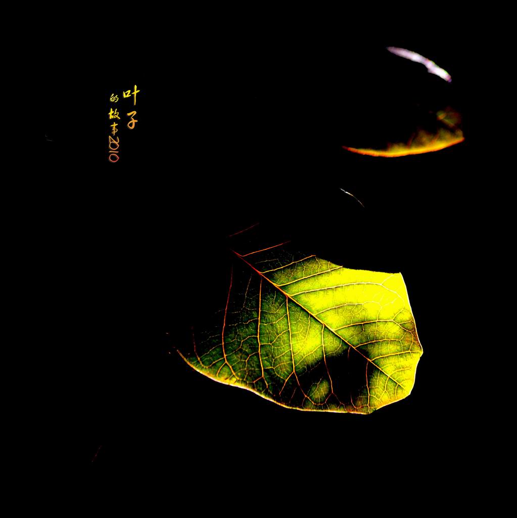 http://i.dcview.tw/gallery/201008/38f82963c31d14cb09102002d8f0b0ca.jpg