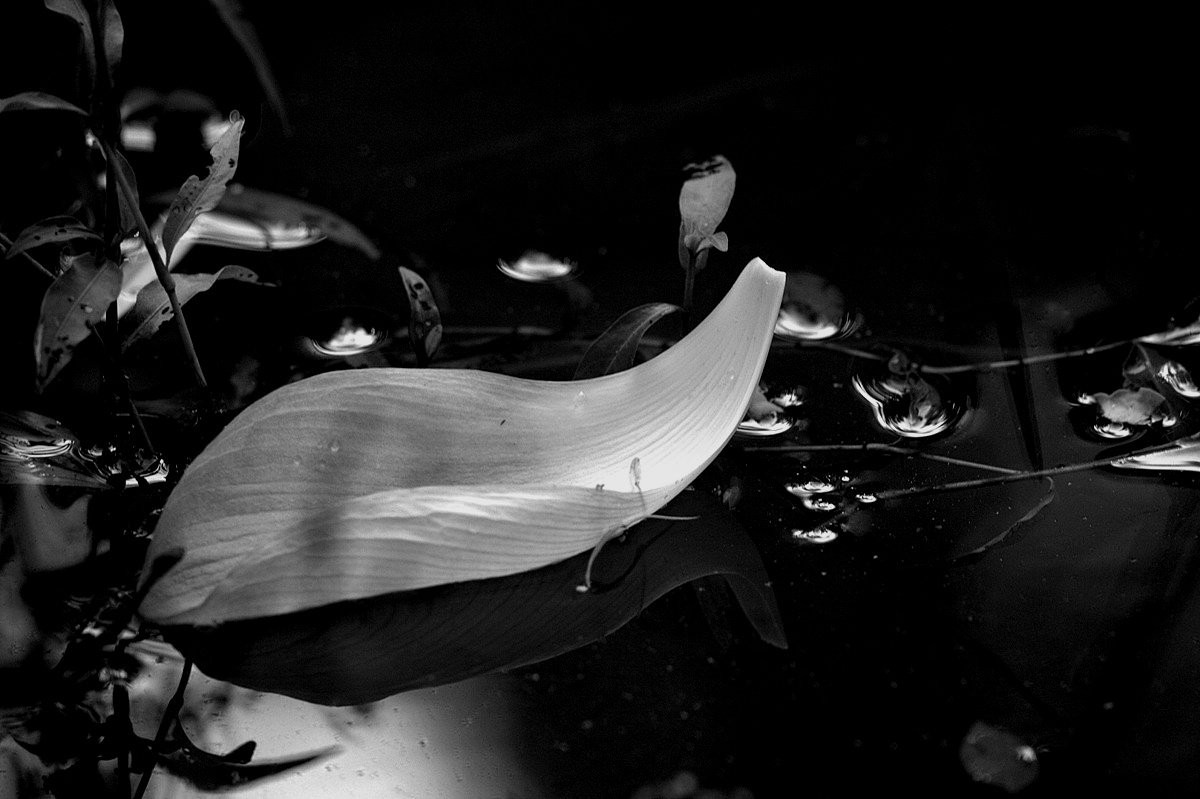 http://i.dcview.tw/gallery/201008/41dc4f2bf9654c4c8b425cce359c691d.jpg