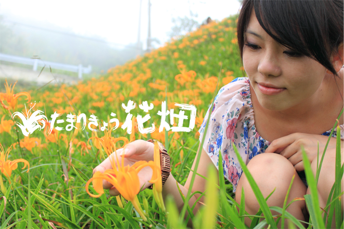 http://i.dcview.tw/gallery/201008/4b87cc0726eada46c4cc965ede70f420.jpg