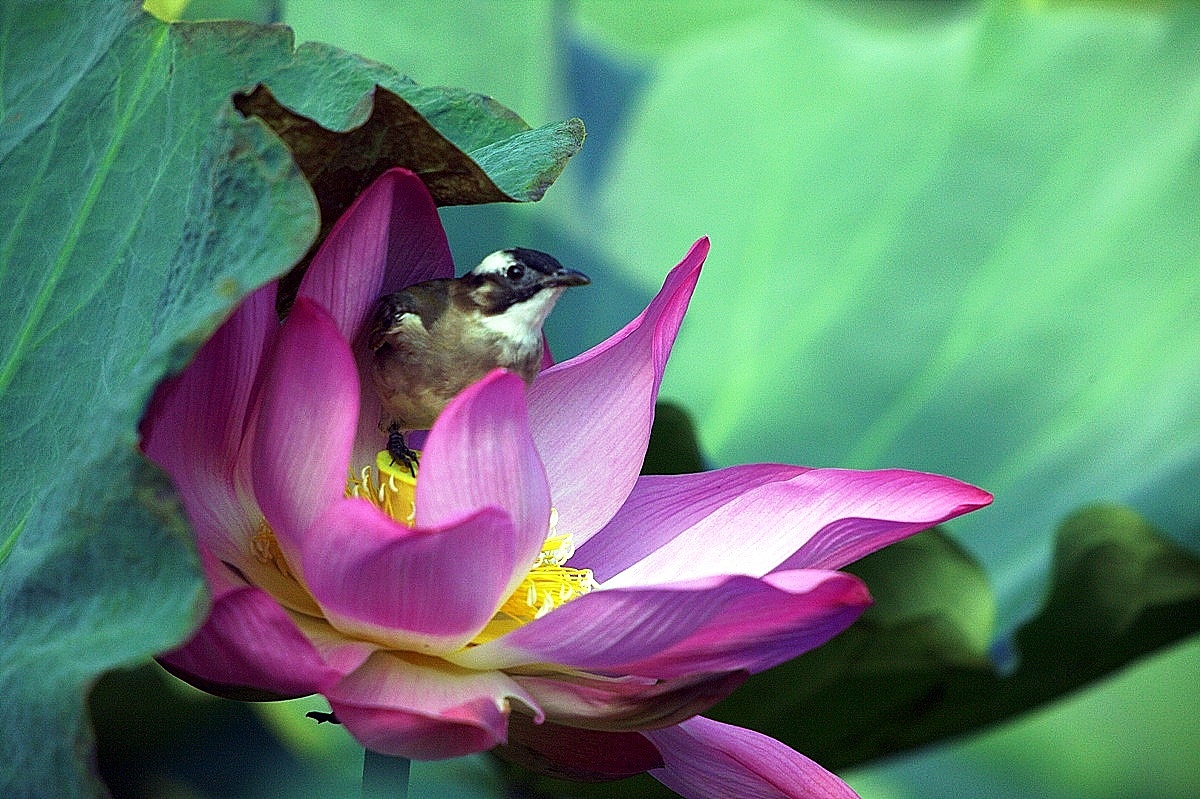 http://i.dcview.tw/gallery/201008/5b9be899cf890781c8f6094e6e4ce948.jpg