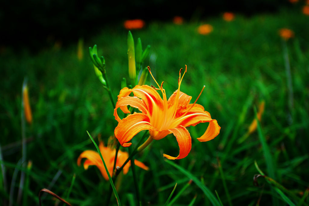 http://i.dcview.tw/gallery/201008/671c35067f685d8dbb3b1bc4621e7d46.jpg