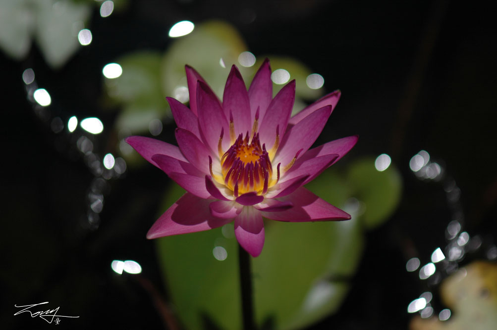 http://i.dcview.tw/gallery/201008/6d0238917001dc9f7a05fd3b6b84cfa7.jpg