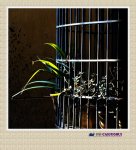 邻居家的防盗网