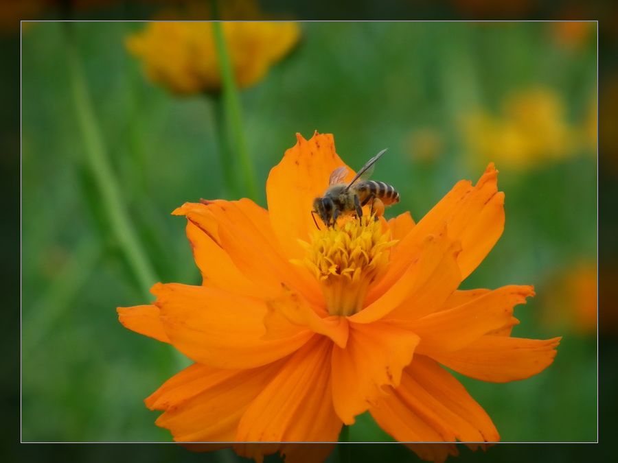 http://i.dcview.tw/gallery/201008/752ef0b396ffed6f709ae2f9924ae236.jpg