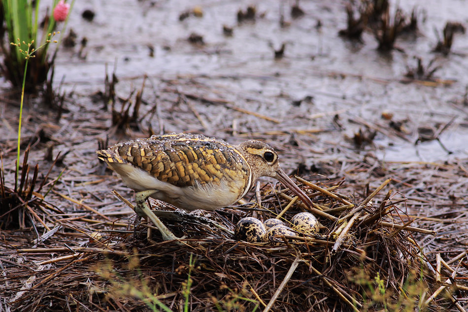 http://i.dcview.tw/gallery/201008/760de0972c349549987b5840a2a345ec.jpg