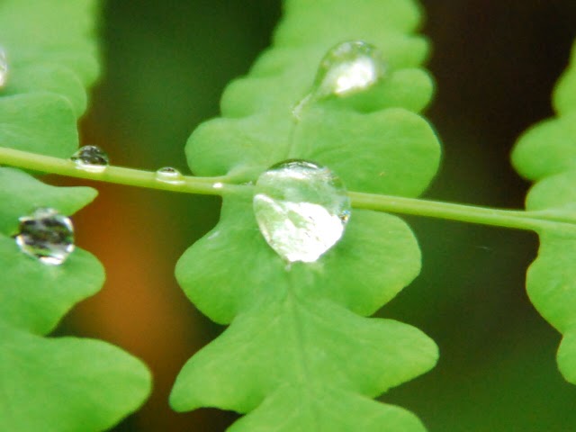 http://i.dcview.tw/gallery/201008/895c6481dc612ca947611d65fb63f7fa.jpg