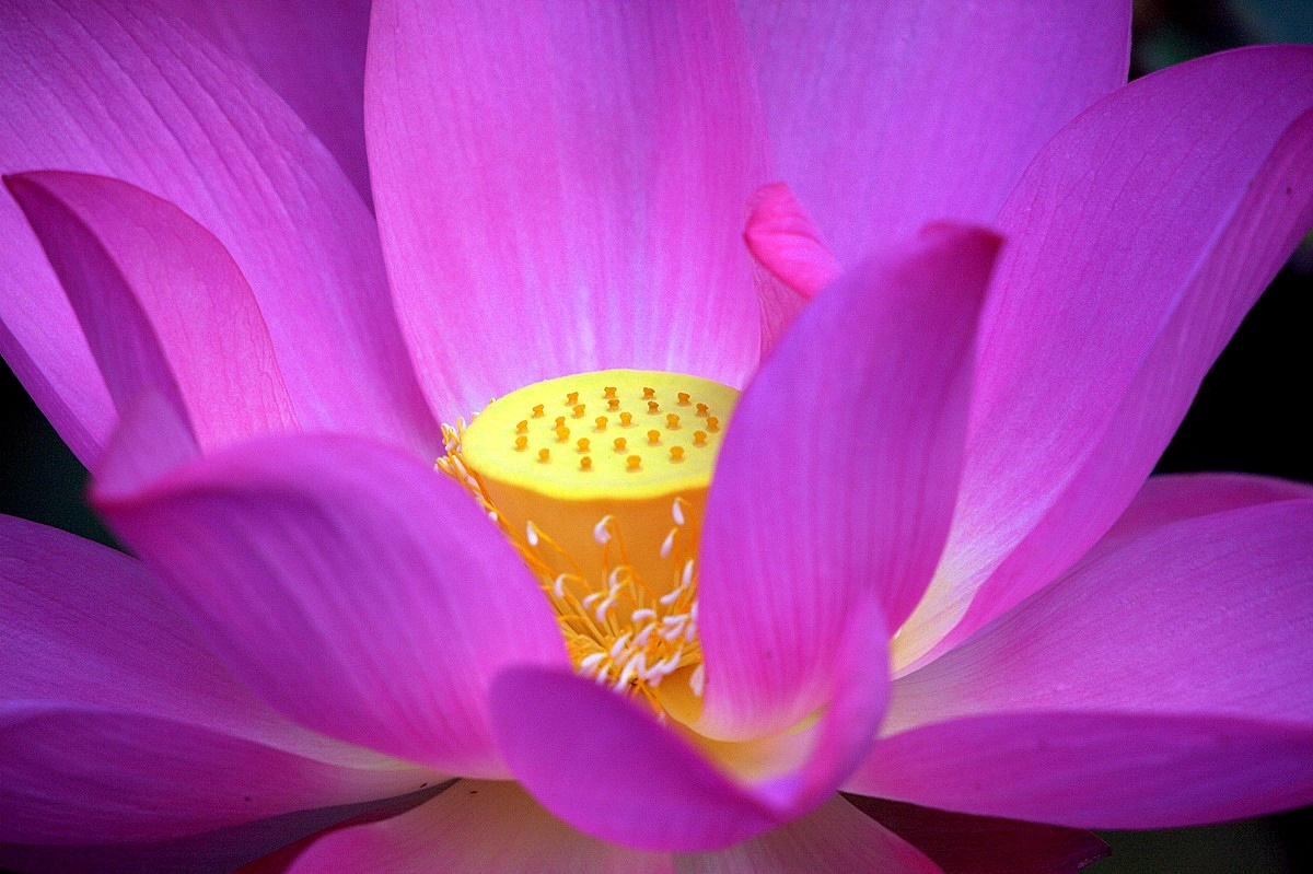 http://i.dcview.tw/gallery/201008/9f99abbee067320bf11c85bda2d1349e.jpg