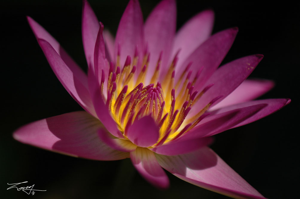 http://i.dcview.tw/gallery/201008/a724626b5daacc1d742eb3dc93c73cad.jpg