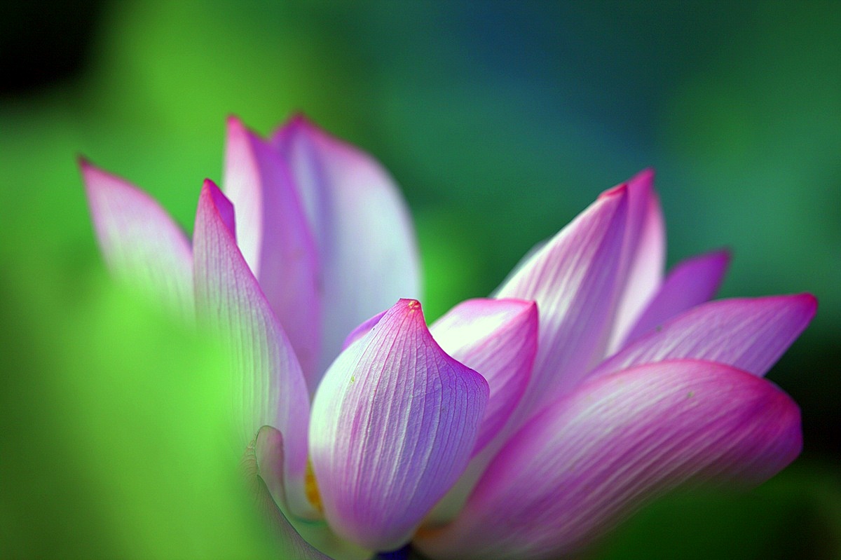 http://i.dcview.tw/gallery/201008/b2673c3b359dc8624a518fcae8bf52e9.jpg